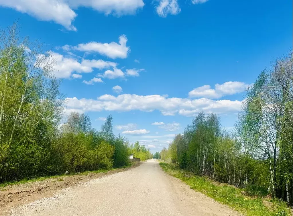 Участок в Пермский край, д. Кондратово, Красава-3 СНТ  (7.5 сот.) - Фото 1