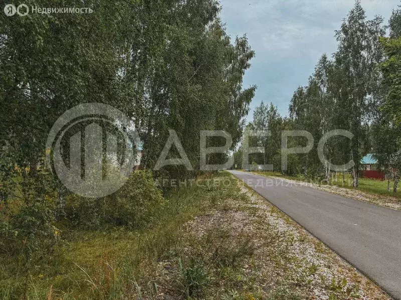 Участок в Владимирская область, Меленковский муниципальный округ, ... - Фото 0