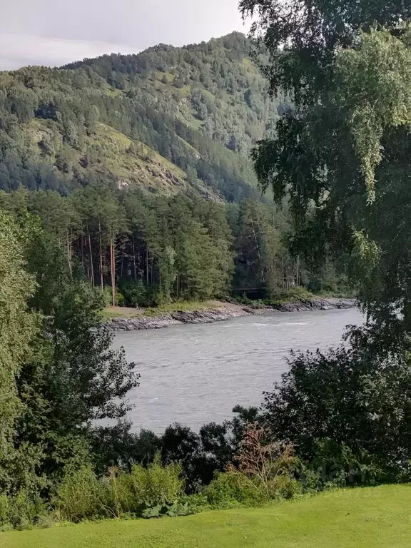 Коттедж в Алтай, Майминский район, с. Манжерок Береговая ул. (450 м) - Фото 0