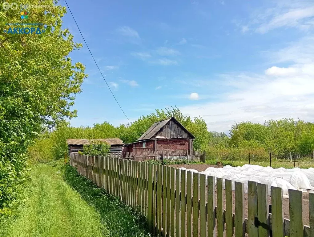 Дом в Новоалтайск, Рыбальная улица, 38 (25.8 м) - Фото 1