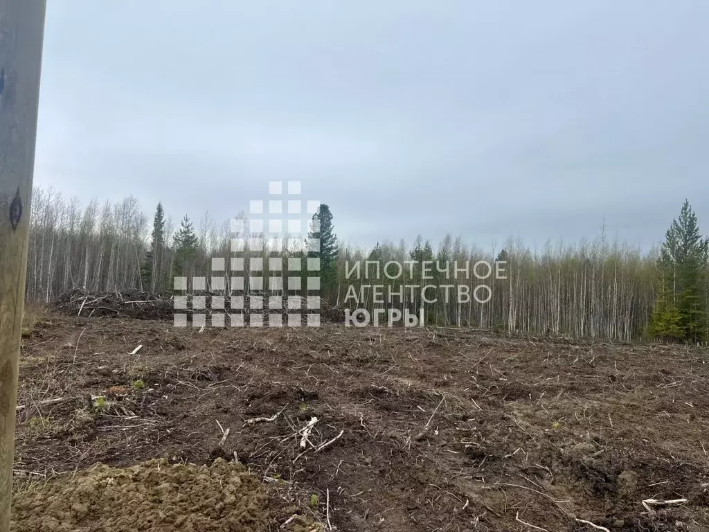 Участок в Ханты-Мансийский АО, Ханты-Мансийск Мир СОНТ,  (15.0 сот.) - Фото 1