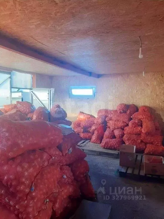 Дом в Курганская область, Кетовский муниципальный округ, д. Патронная ... - Фото 1