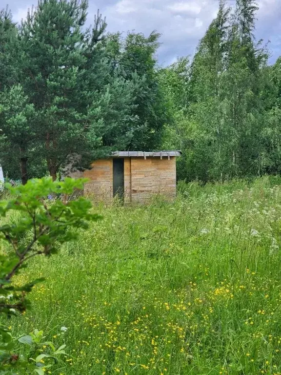 Участок в Ленинградская область, Кировский район, Мгинское городское ... - Фото 1