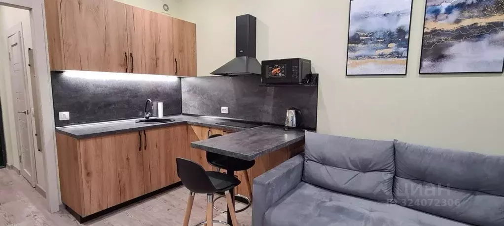 Студия Санкт-Петербург ул. Плесецкая, 10 (22.0 м) - Фото 2