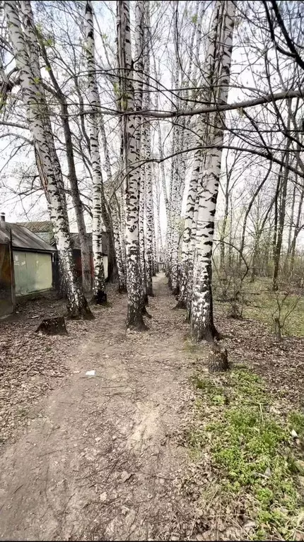 Участок 4,2 сот. (СНТ, ДНП) - Фото 0