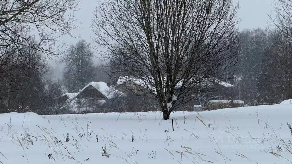 Участок в Московская область, Можайский муниципальный округ, д. ... - Фото 2