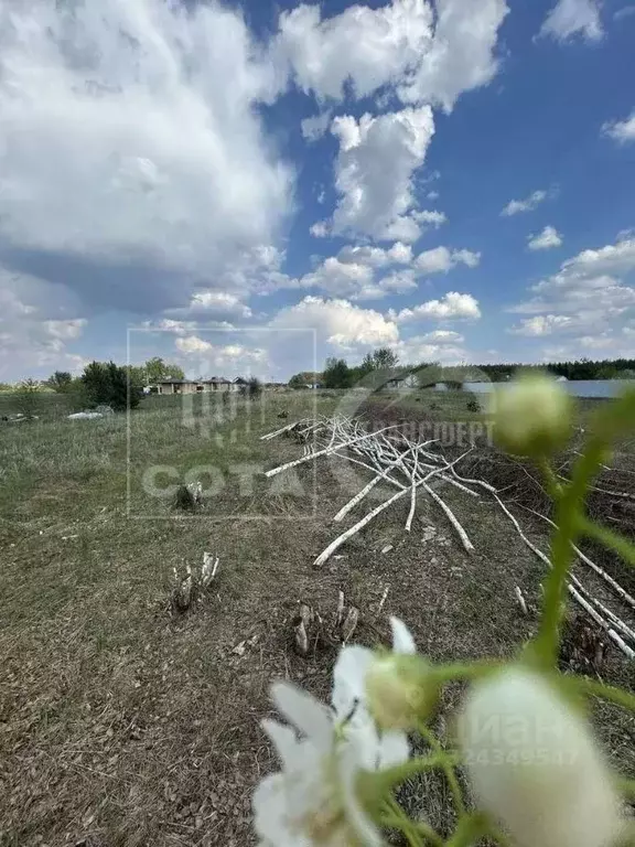 Участок в Воронежская область, Рамонский район, Ступинское с/пос, с. ... - Фото 1