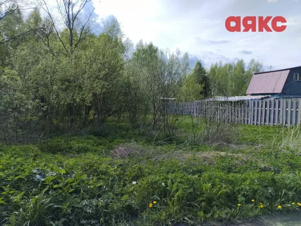 Участок в Ярославский муниципальный округ, СНТ Росток (10 м) - Фото 0