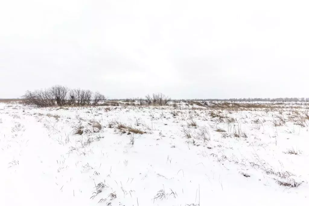 Участок в Искитимский район, Чернореченский сельсовет, село Старый ... - Фото 0