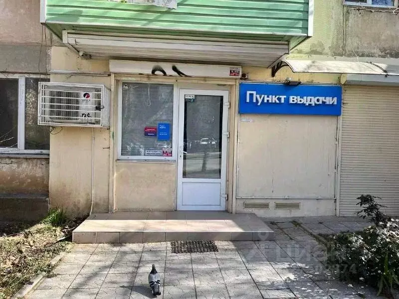 Помещение свободного назначения в Севастополь ул. Горпищенко, 45 (31 ... - Фото 1