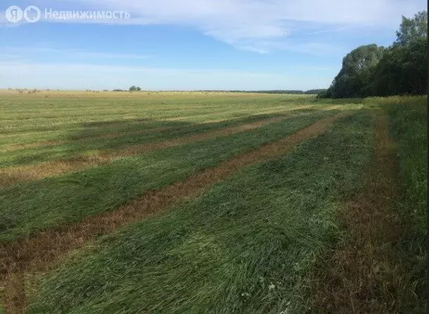 Участок в село Семёновское, Набережная улица (30.4 м) - Фото 1