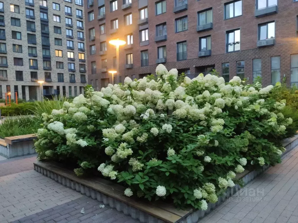 1-к кв. Тюменская область, Тюмень ул. Усиевича, 16 (38.4 м) - Фото 1