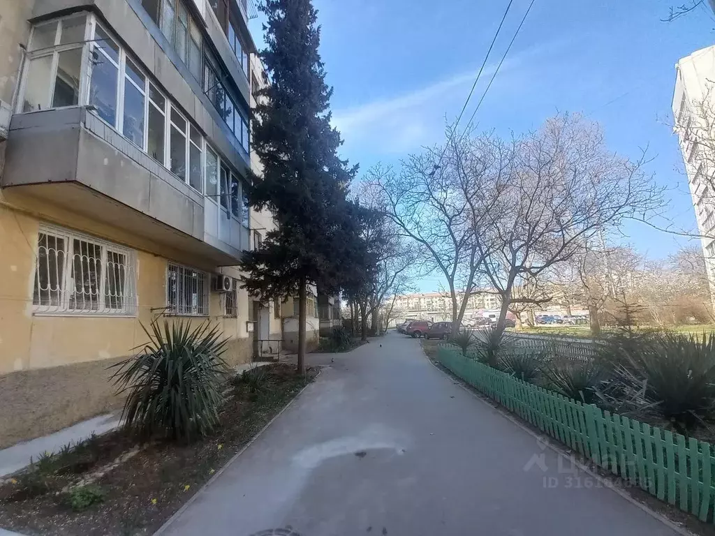 1-к кв. Севастополь просп. Генерала Острякова, 100 (32.0 м) - Фото 0