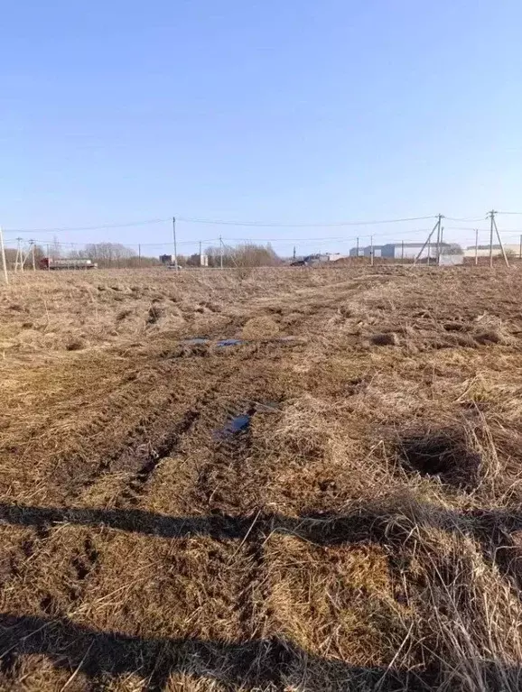 Участок в Ленинградская область, Ломоносовский район, Горбунковское ... - Фото 2