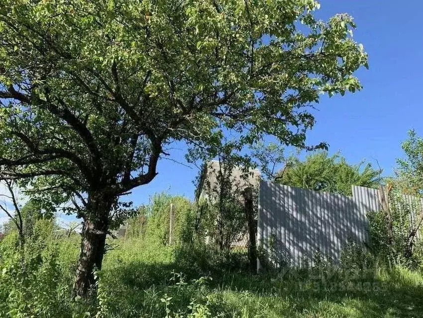 Дом в Воронежская область, Рамонский район, Новоживотинновское с/пос, ... - Фото 2