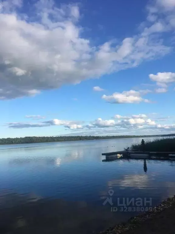 Участок в Ленинградская область, Приозерский район, Запорожское с/пос, ... - Фото 2
