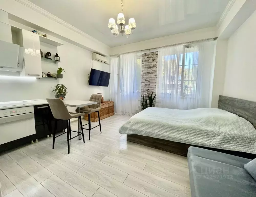 Студия Краснодарский край, Сочи ул. Камо, 80 (30.0 м) - Фото 1