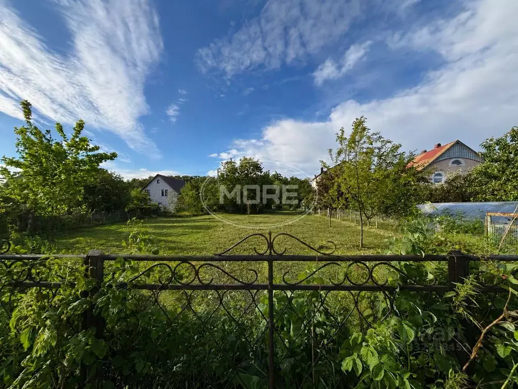 Участок в Калининградская область, Калининград Дружба-3 СНТ, ул. ... - Фото 1