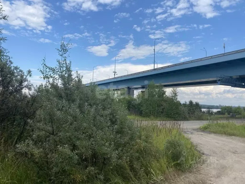 Участок в Ярославская область, Ярославль Тутаевское ш. (80.0 сот.) - Фото 1