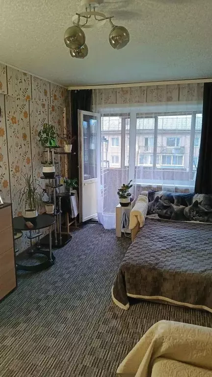 1-к кв. Иркутская область, Ангарск 95-й кв-л, А (30.9 м) - Фото 1