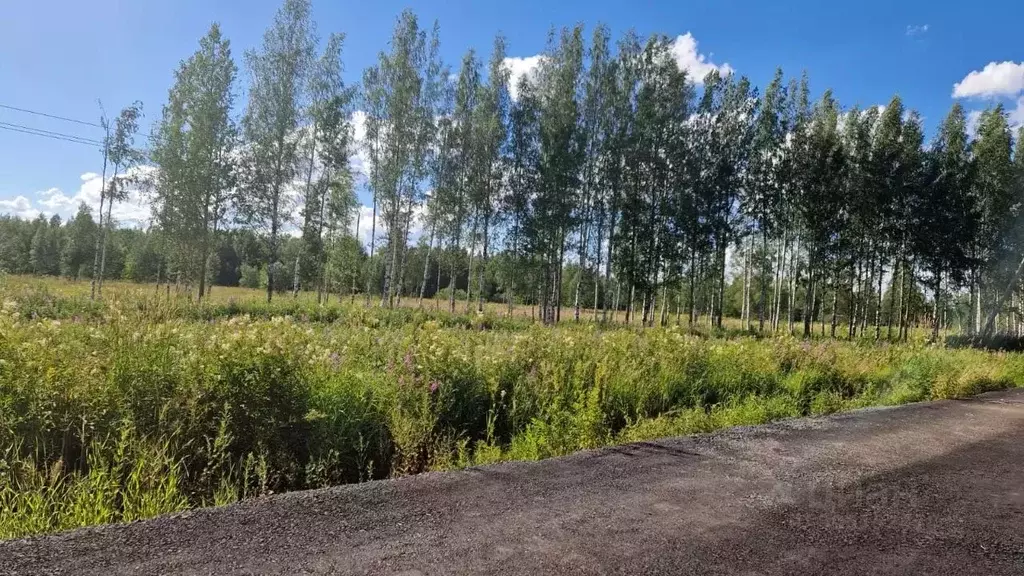 Участок в Ленинградская область, Всеволожский район, Куйвозовское ... - Фото 1