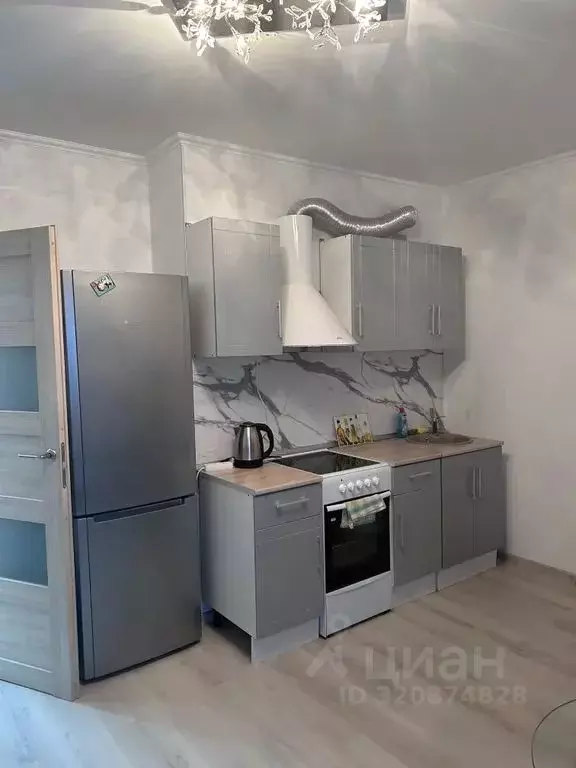 Студия Ленинградская область, Ломоносовский район, Виллозское ... - Фото 1