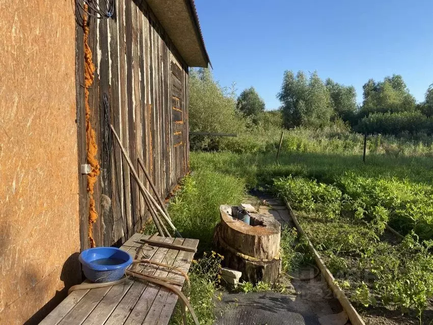 Дом в Курганская область, Курган Зауралец СТ,  (48 м) - Фото 1