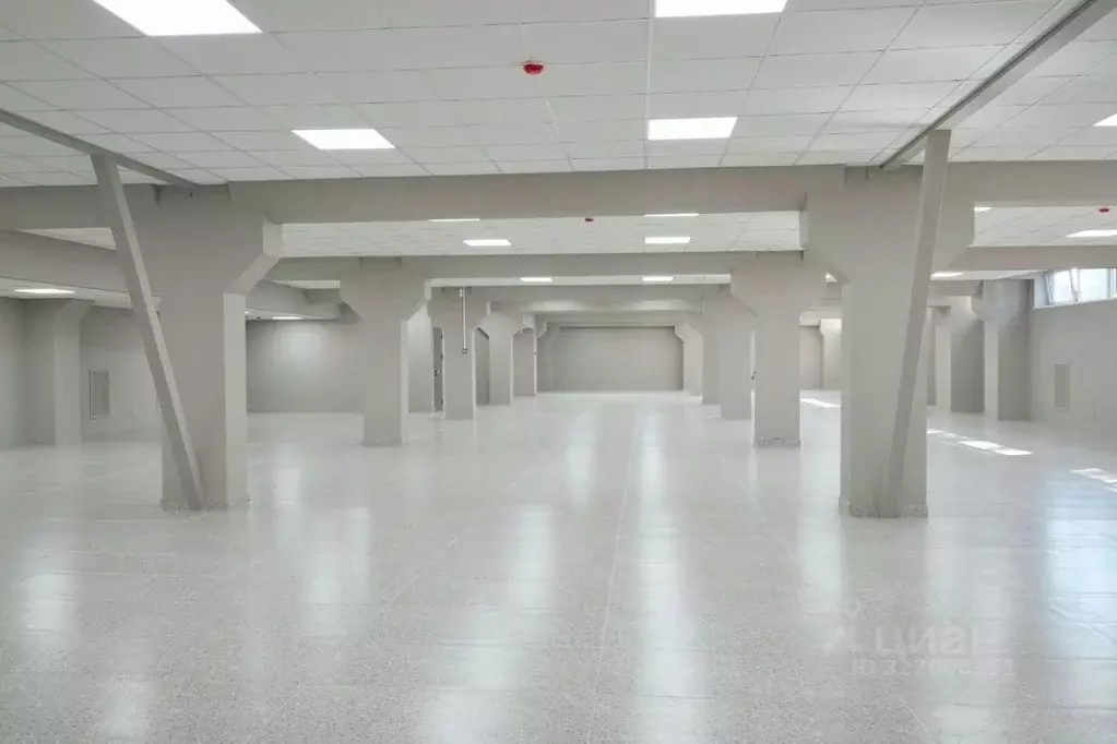 Торговая площадь в Санкт-Петербург, Санкт-Петербург, Красное Село ул. ... - Фото 1