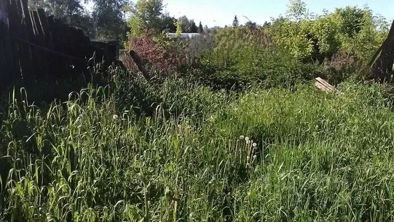 Участок в Омская область, Омский район, Дружинское с/пос, Муравушка ... - Фото 0