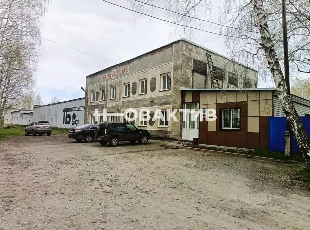 Производственное помещение в Новосибирская область, Тогучин ул. ... - Фото 0