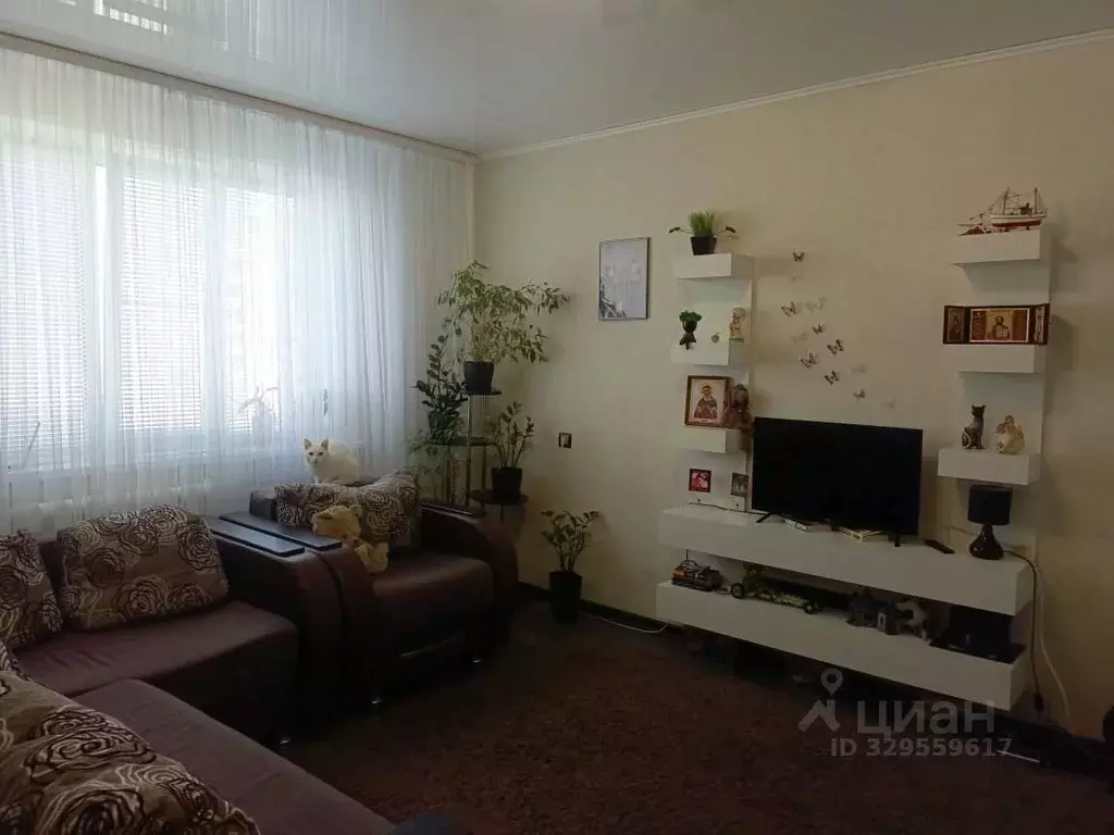1-к кв. Курская область, Железногорск ул. Мира, 61к4 (32.8 м) - Фото 1