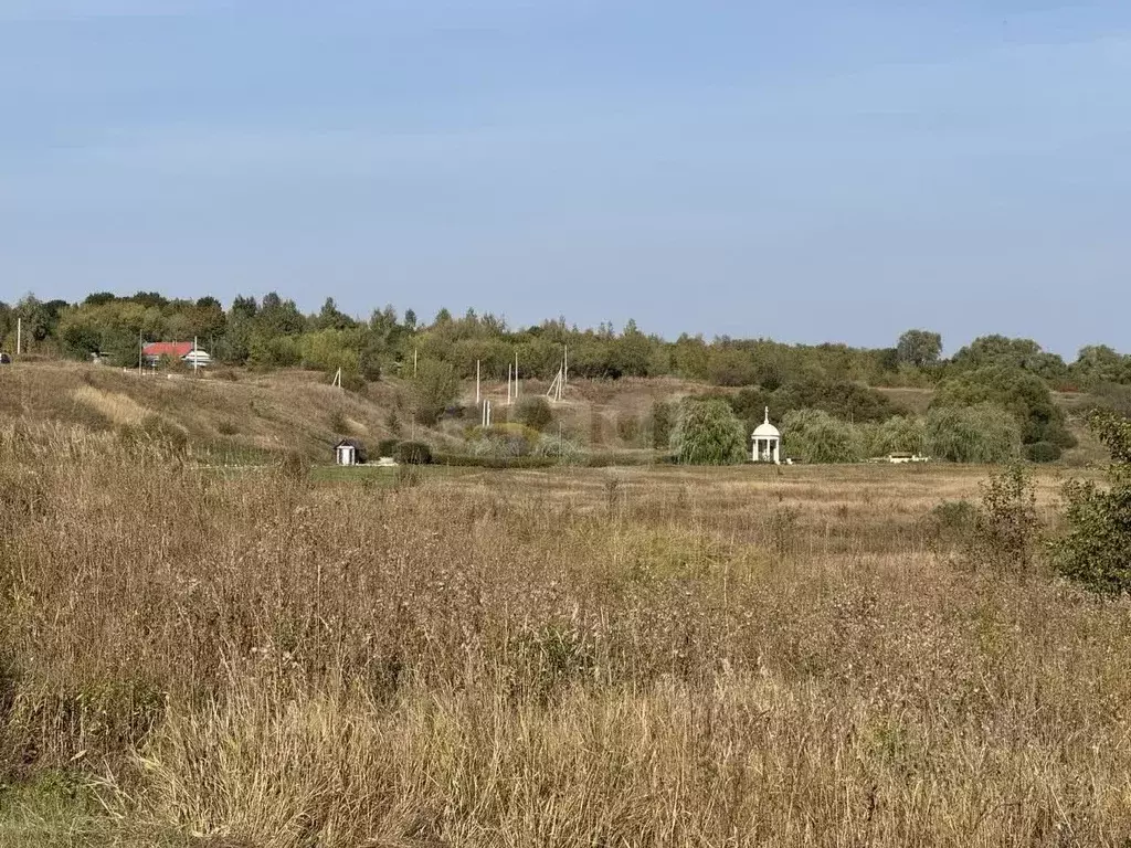Участок в Тульская область, Кимовский район, Епифанское с/пос, с. ... - Фото 2