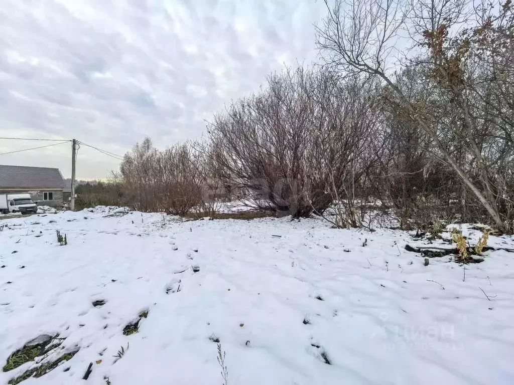 Участок в Новосибирская область, Новосибирский район, Каменский ... - Фото 1