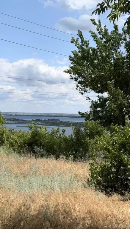 Участок в Саратовская область, с. Пристанное ул. Советская, 58 (6.0 ... - Фото 1