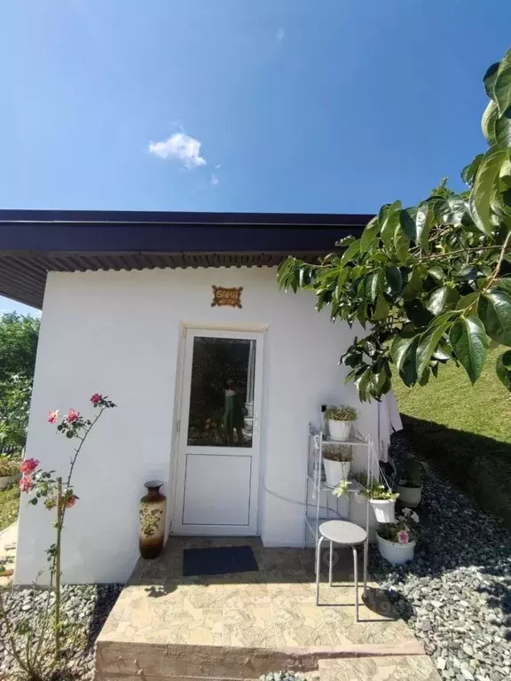 Дом в Краснодарский край, Сочи городской округ, с. Илларионовка  (37 ... - Фото 1