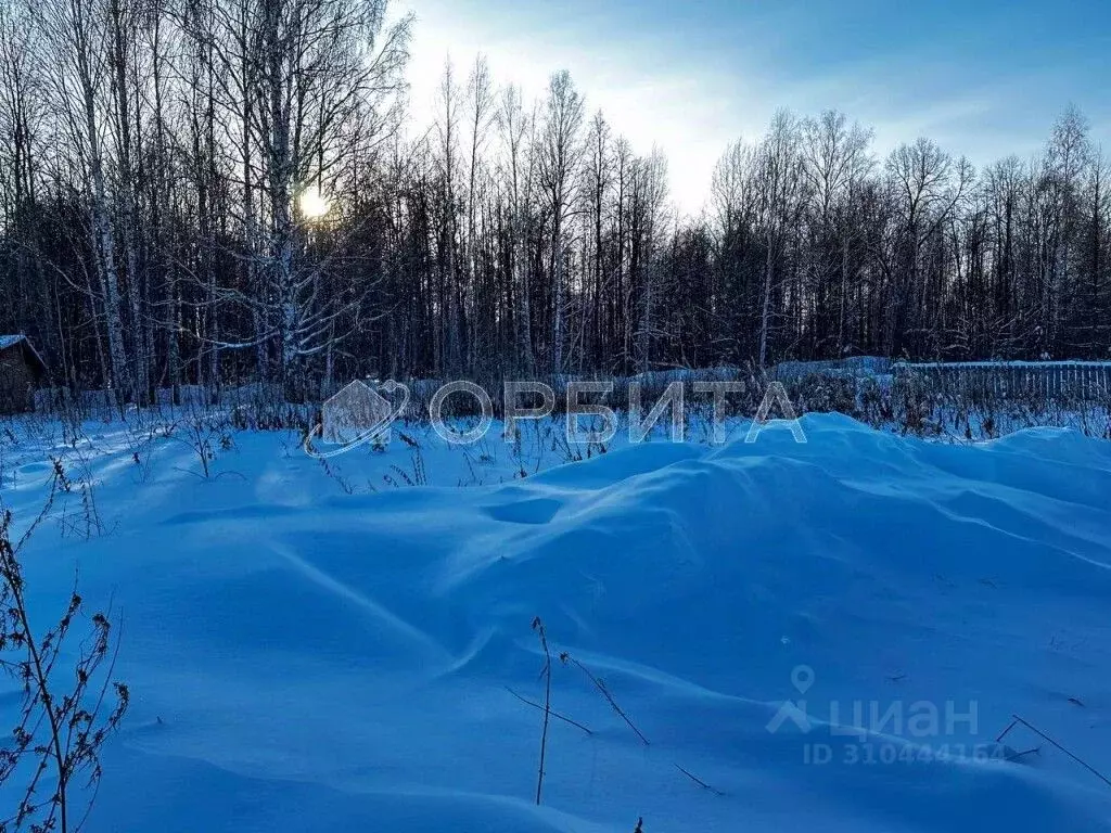 Участок в Тюменская область, Нижнетавдинский район, Геофизик 2 СНТ  ... - Фото 1