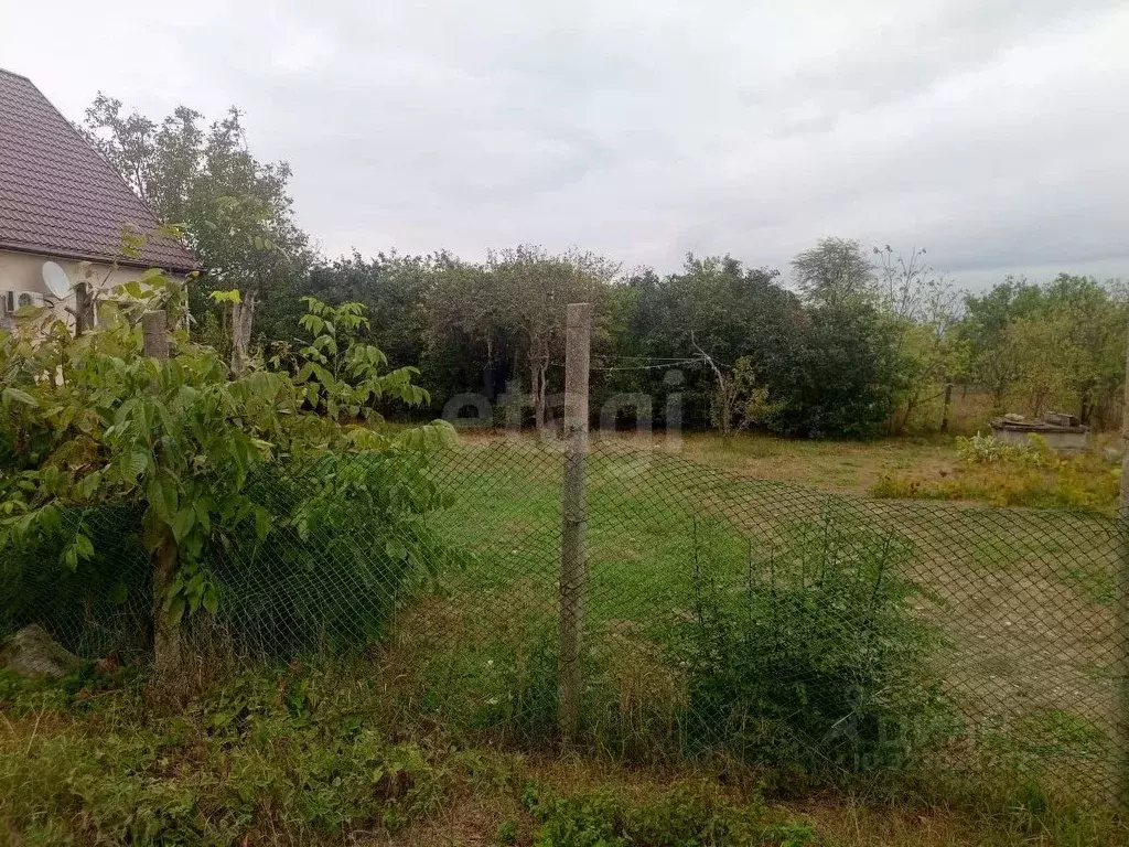 Участок в Краснодарский край, Новороссийск городской округ, Раевская ... - Фото 1