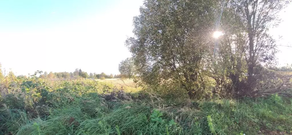 Участок в Московская область, Талдомский городской округ, д. Юркино  ... - Фото 1