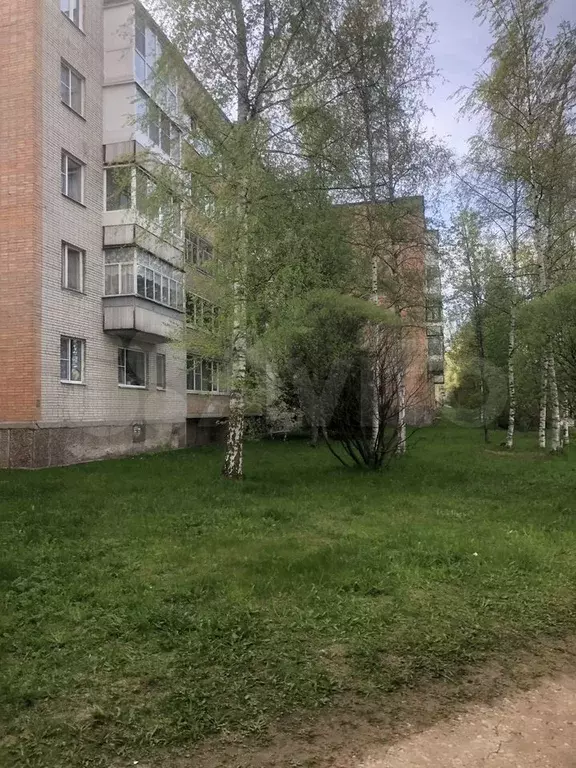 2-к. квартира, 49,5 м, 1/5 эт. - Фото 1