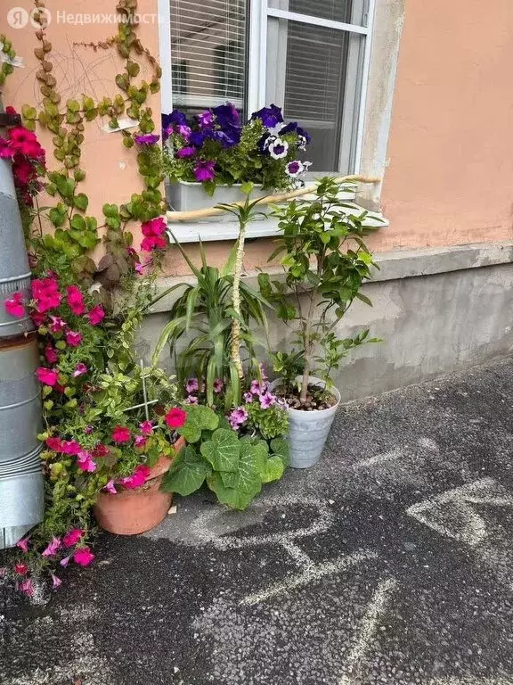 1-комнатная квартира: Санкт-Петербург, Астраханская улица, 28 (24.4 м) - Фото 1