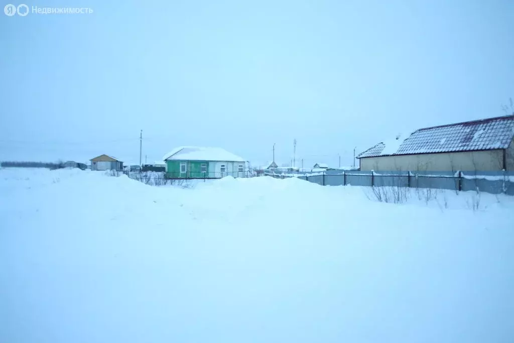 Участок в Новый Уренгой, дачное некоммерческое товарищество Виктория, ... - Фото 1