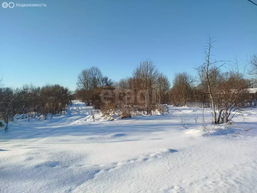 Участок в Остров, улица Энтузиастов (1440 м) - Фото 1