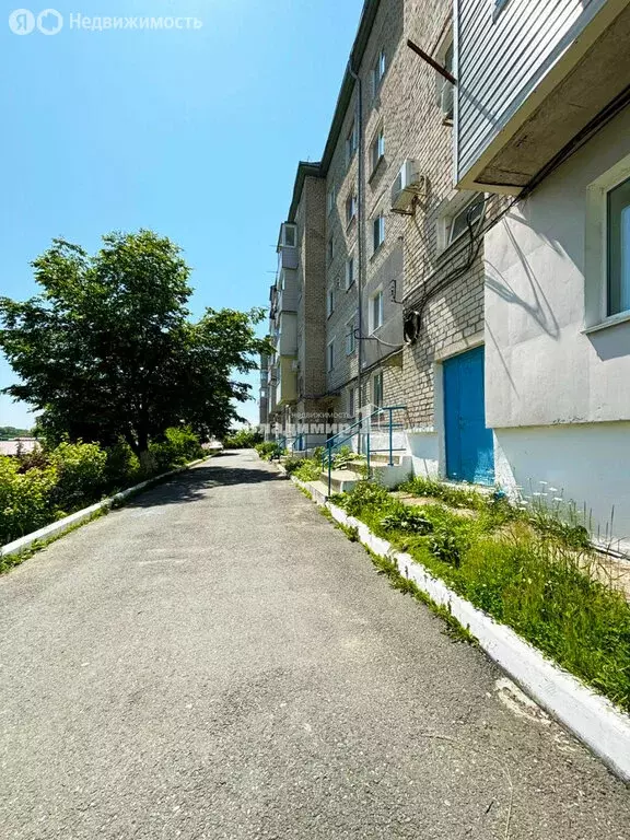 1-комнатная квартира: посёлок Южно-Морской, Комсомольская улица, 11 ... - Фото 1