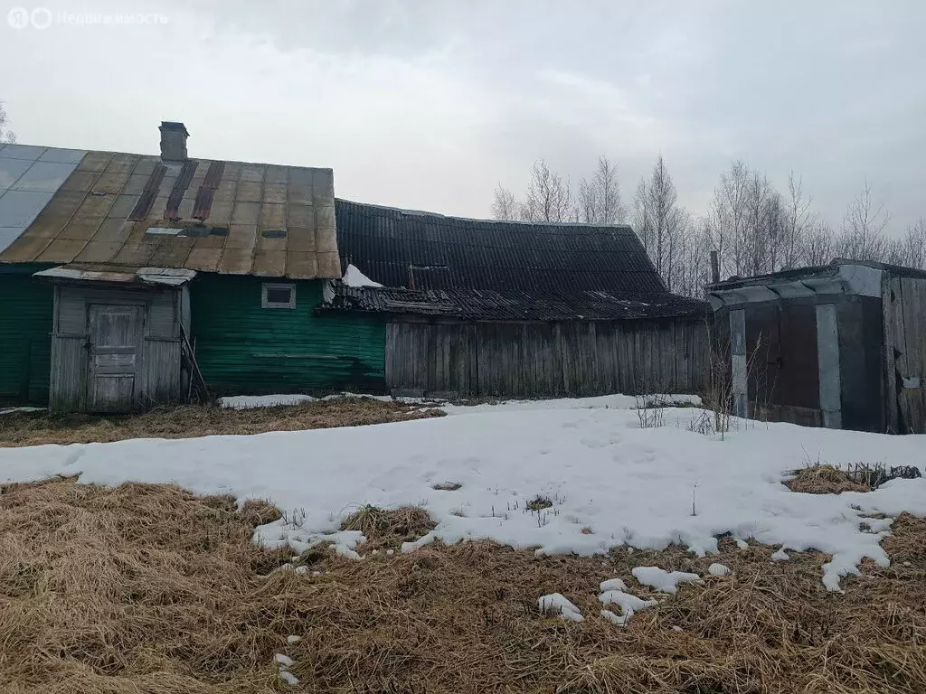 Дом в деревня Старое Ракомо, Петропавловская улица, 27 (55 м) - Фото 2