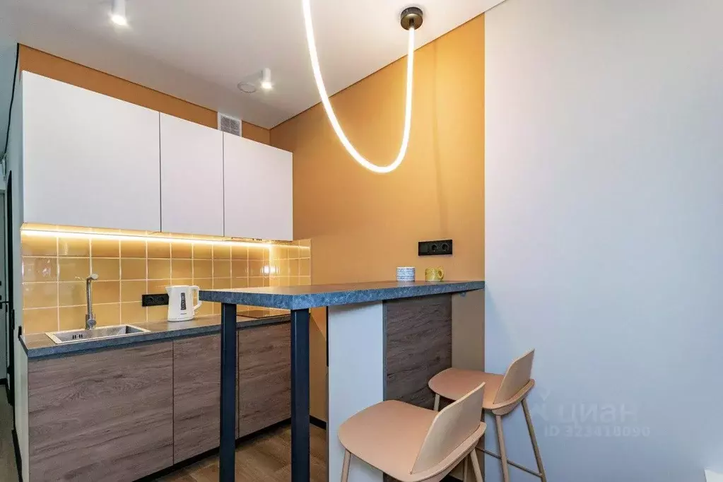 Студия Свердловская область, Екатеринбург ул. Пехотинцев, 2В (25.1 м) - Фото 1