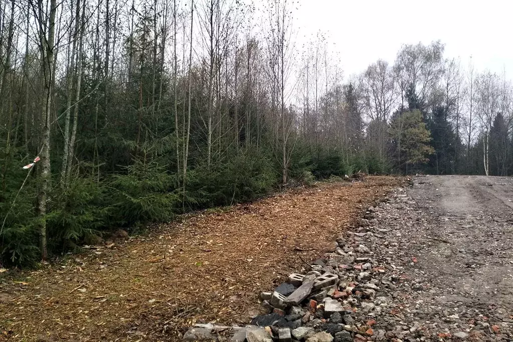 Участок в Московская область, Дмитровский городской округ, д. Новинки  ... - Фото 1