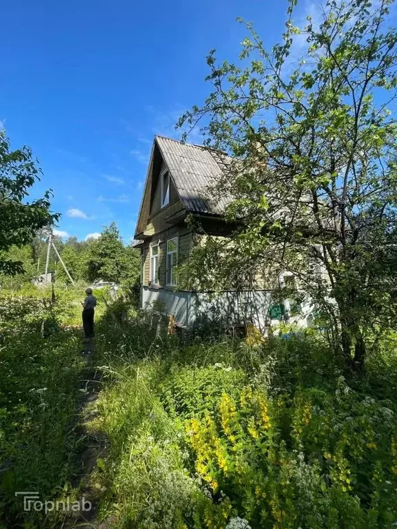 Дом в Ленинградская область, Выборгский район, Рощино пгт, Лесное СНТ  ... - Фото 1