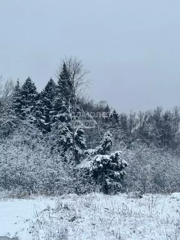 Участок в Московская область, Солнечногорск городской округ, д. Пешки, ... - Фото 0