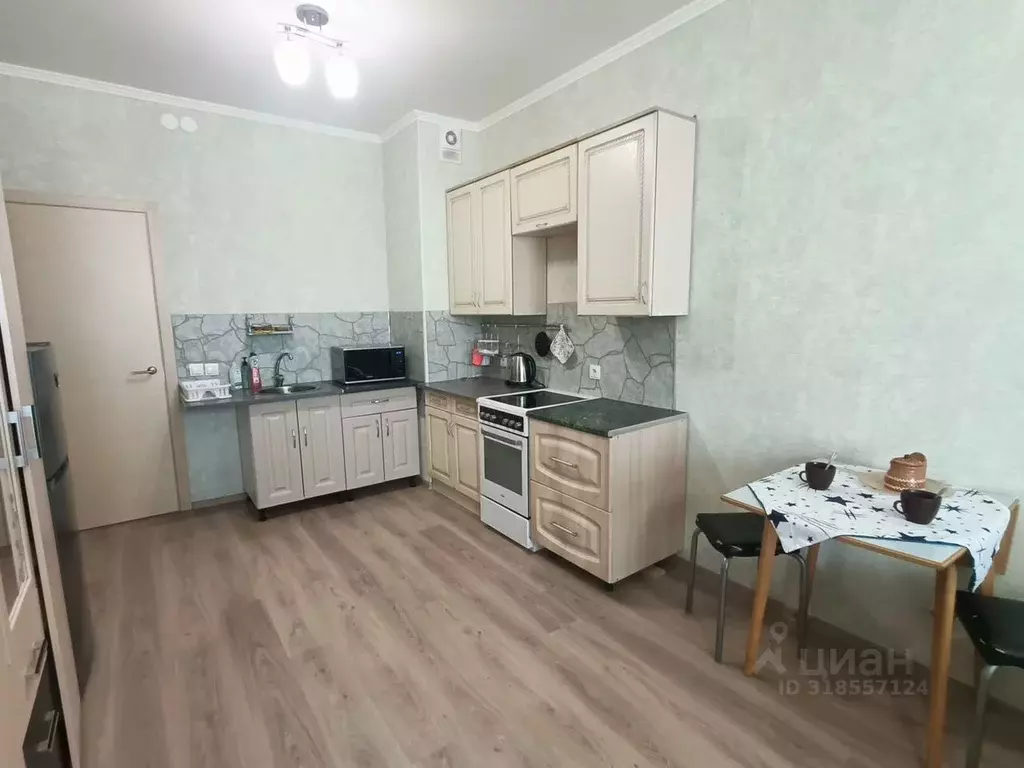 Студия Ленинградская область, Всеволожский район, Заневское городское ... - Фото 0