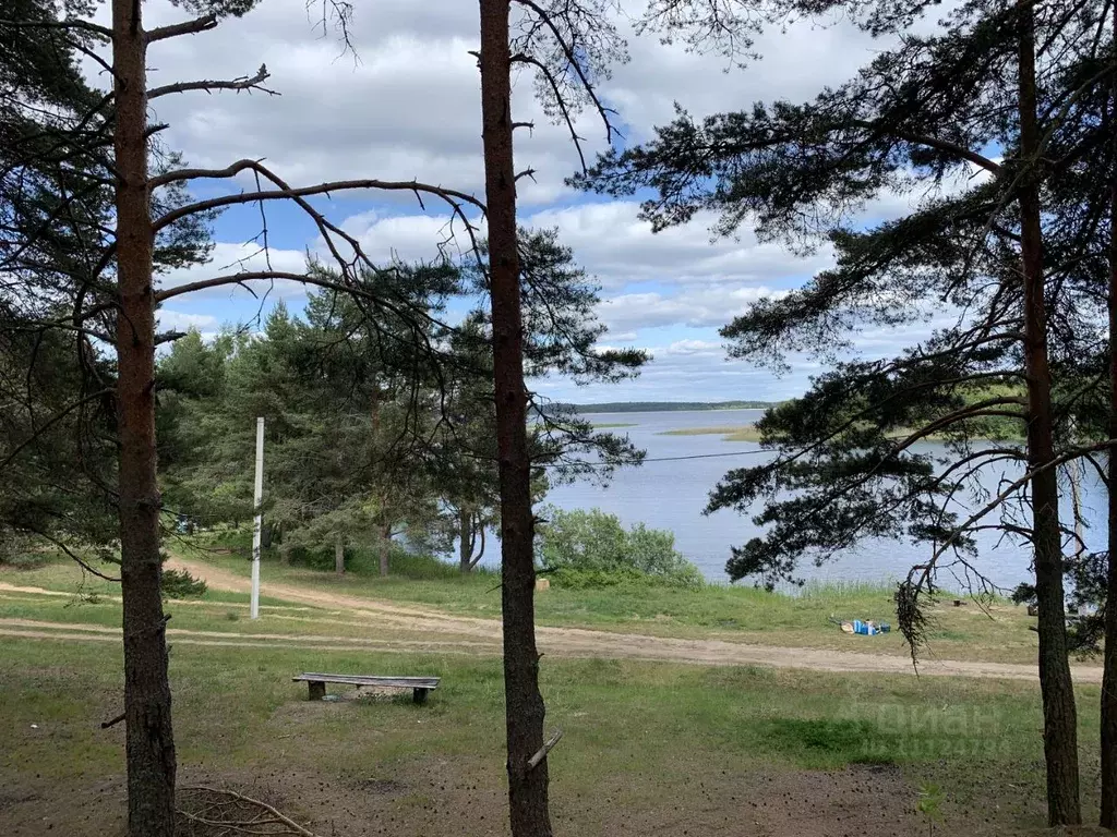 Участок в Тверская область, Осташковский городской округ, Деревня сл.  ... - Фото 0